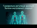 Ендокринна система. Залози внутрішньої секреції