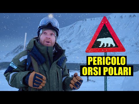 Video: Potremmo introdurre gli orsi polari in Antartide?