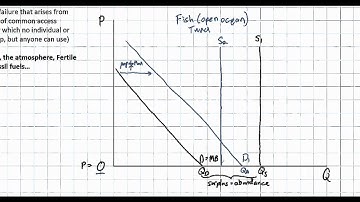 Visualizing the Tragedy of the Commons