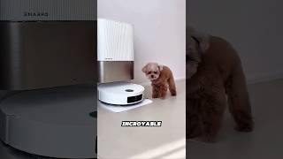 🤖 Ce robot mange tout ce qui se trouve par terre ! 😱#shorts #shortvideo #short