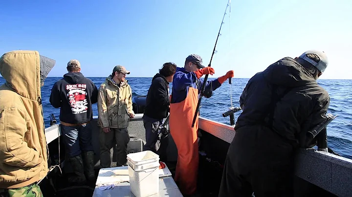 All About Fishin Charters - Halibut Fishing Alaska...