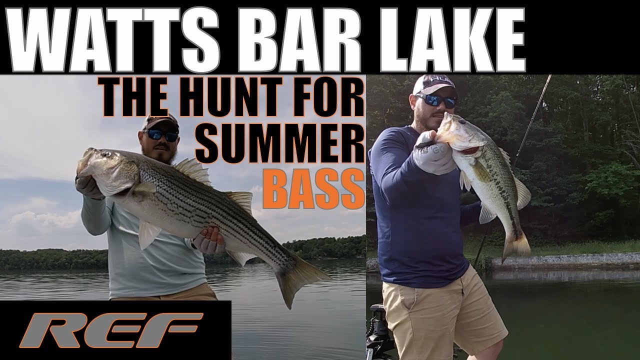 WATTS BAR LAKE Weird Day of Post Spawn Largemouth BASS Fishing YouTube