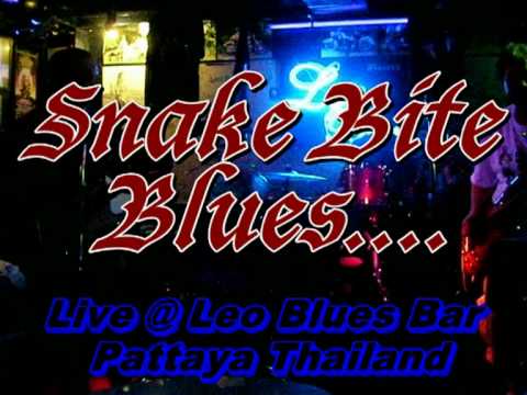 Butts & Punk Kenny~ Snake Bite Blues live @ Leo Bl...