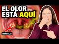 ¿Te Cepillas Y Aun Así Huele Mal? Mira Tu Garganta AHORA