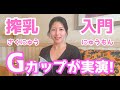【pigeon(ピジョン)搾乳機/Breast Pump Tutorial】初めてでも簡単!!搾乳機の使い方講座