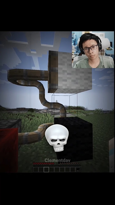 Momen Piston Minecraft