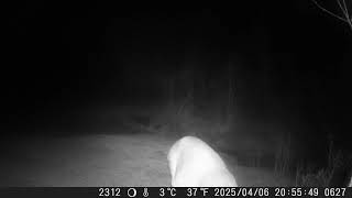 2025 — DSCF0627
