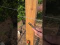 Efficient Technique for Securing and Tensioning Fence Wire to Wooden Posts
