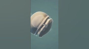 Thumbnail of Did you know in Goat Simulator 3?