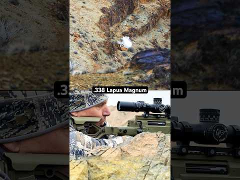 Что это было! 😮 Мистическая охота в Иране #охота