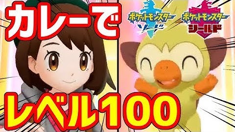 【ポケモン剣盾】カレーだけでポケモンをレベル100にした！！！