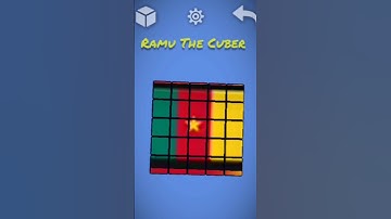 Cameroon Flag 🇨🇲