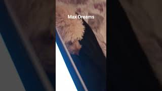 max dreams #Succeed