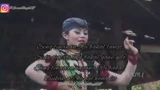 Video Story Wa Jatil