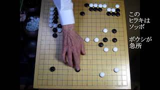 大竹英雄名人 金川正明二段 二子 名人打込道場 MR囲碁6822 - YouTube