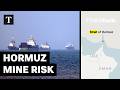 Naval Expert Explains Mine Clearing Process In Strait Of Hormuz