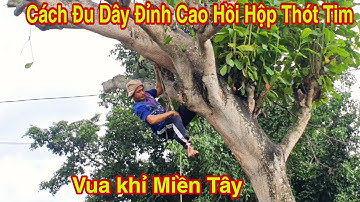 Vua Khỉ Cưa Cây Bàng Siêu To Khi Trời Mưa Mới khi trời Tạnh 2/2 #64 Hai lúa Đồng tháp