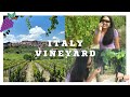 Italy  dining under the vineyard zanetti travel cooking and culture