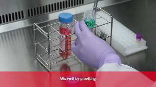 [StemFit] Passaging of iPS cells cultured in StemFit medium