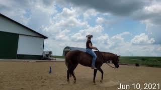 PP #7 WT Bareback Equitation #979 Melissa Bell/ZZ Talkin Radical