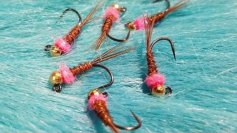 Tying a Frenchie
