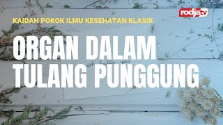 Pengobatan Klasik: Organ Dalam Tulang Punggung l Sinshe Abu Muhammad Faris Al Qiyanji