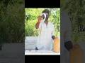 Bike foam washing at home #tranding #bike #cars #shorts #tamil #viralshort