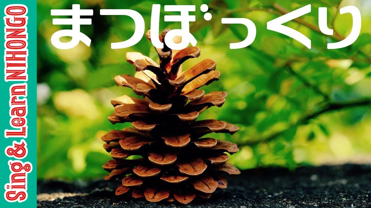 まつぼっくり (Matsubokkuri - pine cones｜Japanese Nursery Rhyme) ー 秋のうた