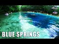 EXPLORING BLUE SPRING ON MY JET SKI / WAVERUNNER (MAN JUMPS OFF A 100FT TREE TOP)