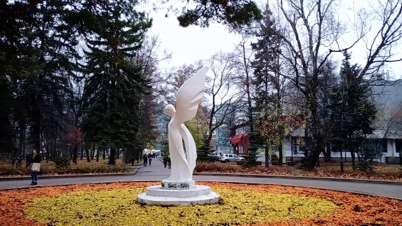 Vivo Y19 test video
