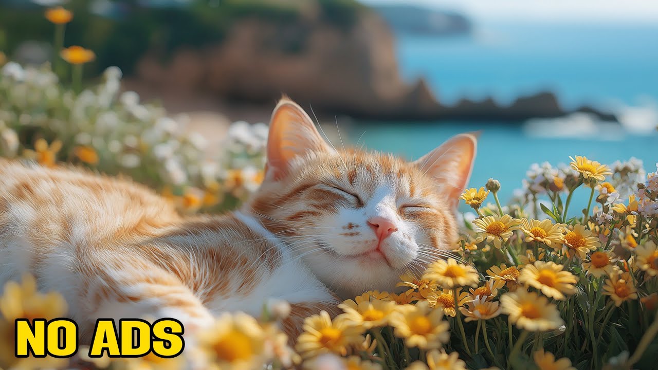 12 Hours of Calming Music for Cats 🌙 Quiet Night Sounds 🐈 Gentle Sleep ...