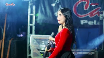 GOYANG BERSAMA CAMELIA ALL ARTIS - CAMELIA MUSIC - WEDDING HUDA & IRA - BALONG BEJI