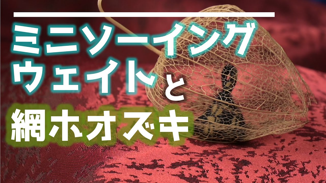 How To Make Lace Chinese Lantern Fruit Youtube