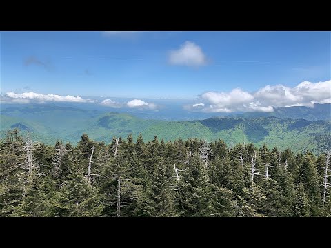 Video: 5 Vietas, Kuras Jāapmeklē Great Smoky Mountains National Park - Matador Network Un Tās Apkārtnē