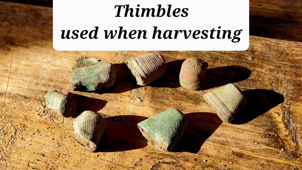 Adventures in Metal Detecting England with Iceni Tours Sept 2022 YouTube