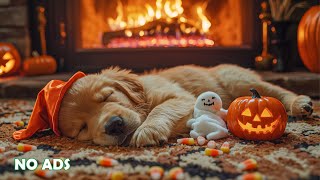 12 Hours of Calming Sleep &amp; Stress Relief 🐶🎃 Soothing Sounds for Anxiety Relief 👻 No Ads