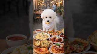 Batalla de Comida 🐶🍔 #17 #pets #short #funny