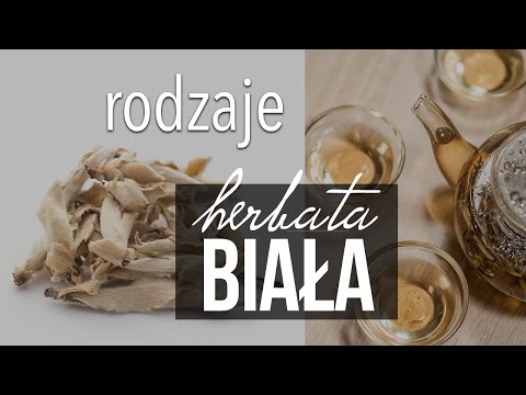 Biała Herbata: rodzaje,