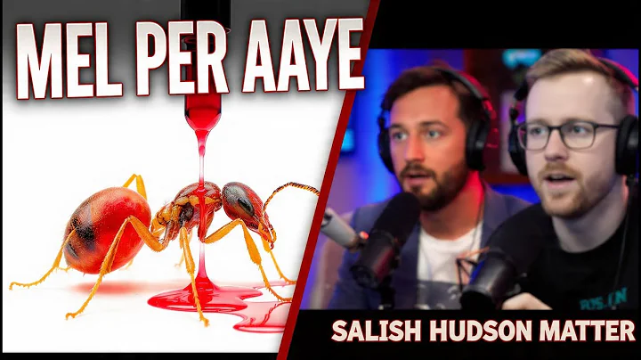 the craziest insect video on the internet Salish Hudson Matter