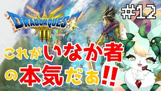 【#12】パズルも解ける頭脳明晰な勇者＝いなか者です😎✨【ドラゴンクエストIII】【ネタバレあり】