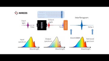 GEMINI Interferometer - Working Principle