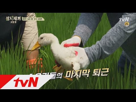 3bob 손오리 부대 은퇴식 현장! 160826 EP.9