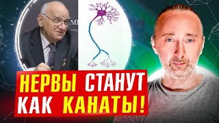 Восстановление Нервной Системы/ Пр. Исаев! Как Укрепить Нервы И Убрать Стресс?