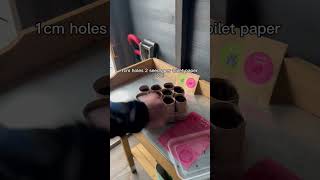 Sowing Sweet Peas In Toilet Paper Rolls Reusing Toilet Paper Rolls