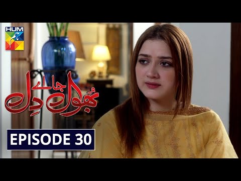Bhool — Episode 30