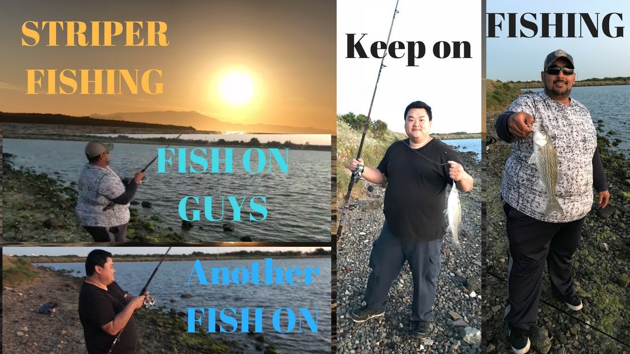 Bay Area Striper Fishing YouTube