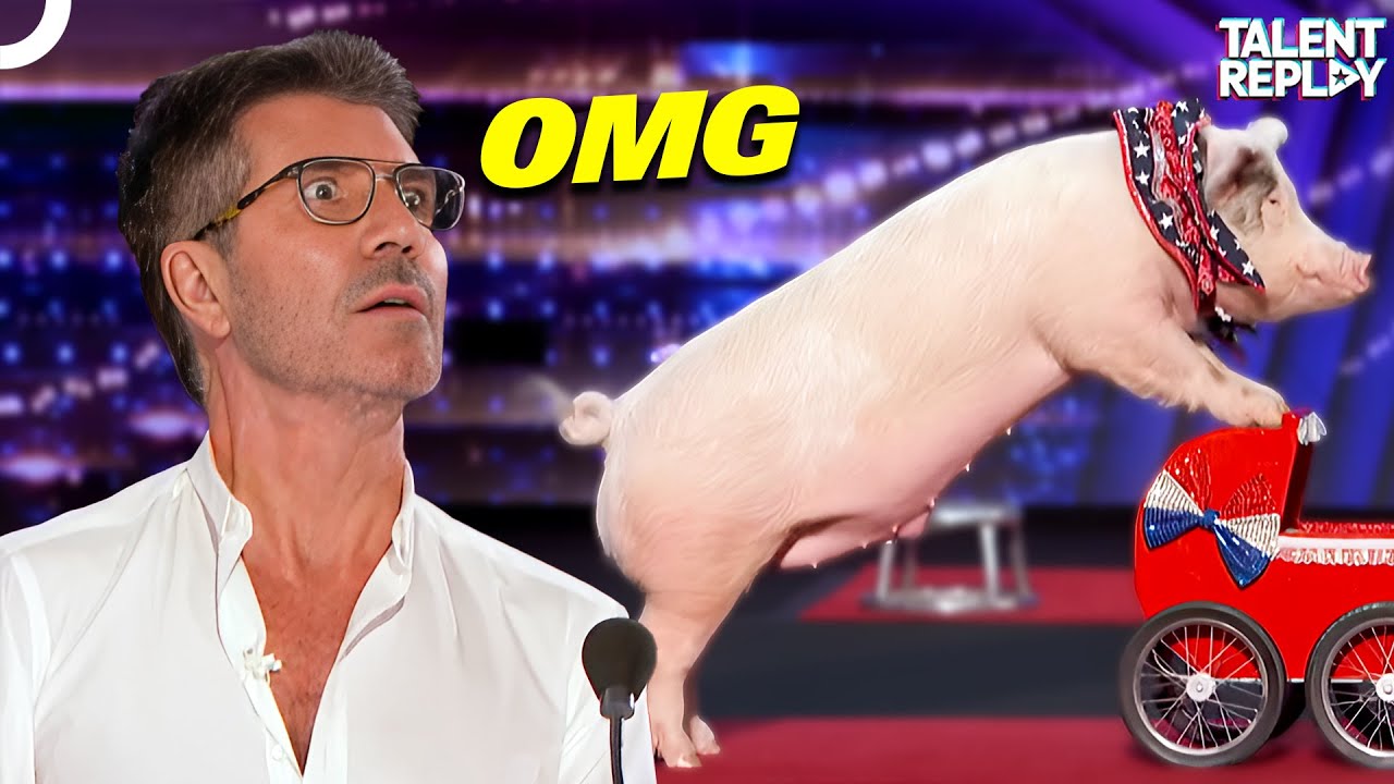 MOST Shocking Animal Auditions!