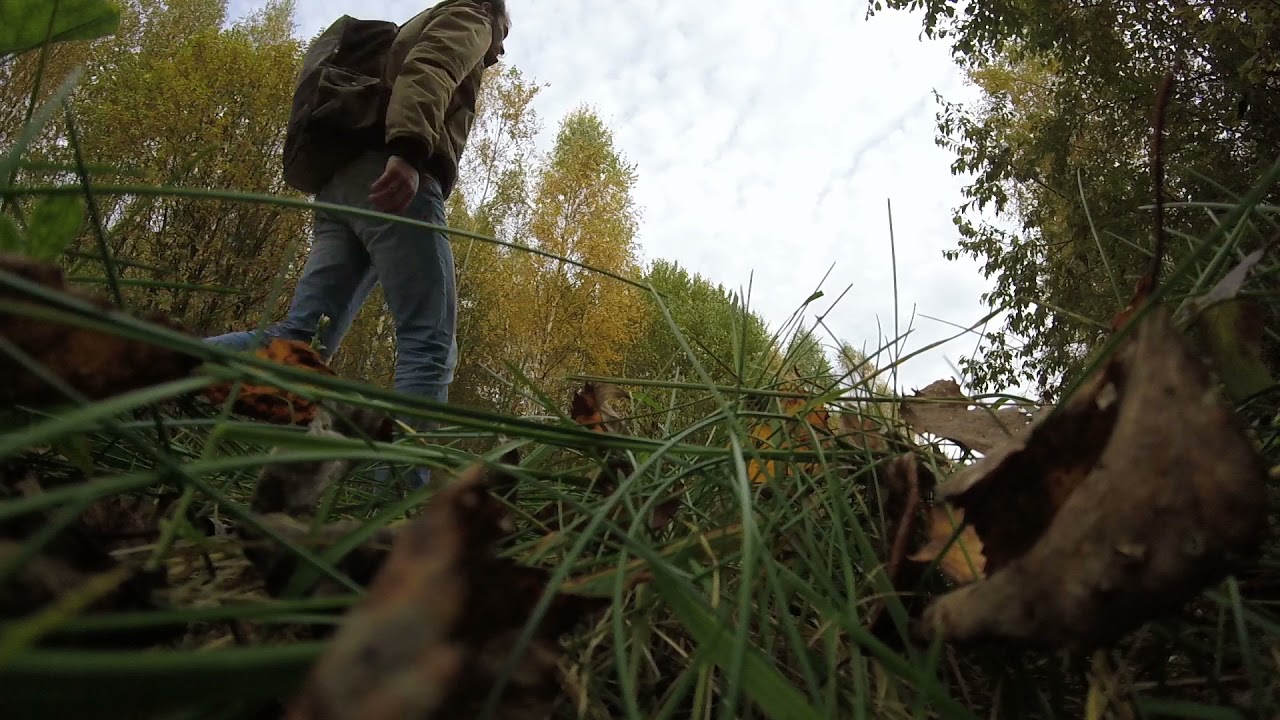 Озеро Селява, Крупский район, Беларусь 