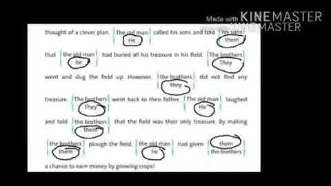 Class 3 English Unit 2 Replacing Words Part 2