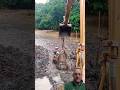 Hidden Under the Water… Pond Draining Surprise! 🤔